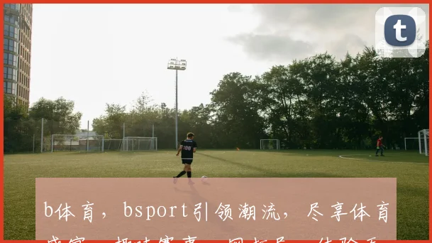 b体育，bsport引领潮流，尽享体育盛宴，趣味赛事一网打尽，体验无限可能