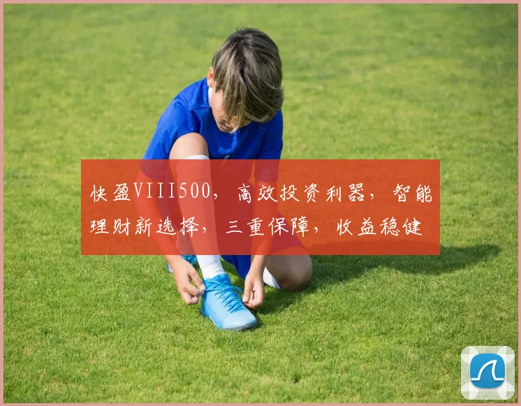 快盈VIII500，高效投资利器，智能理财新选择，三重保障，收益稳健，投资必备