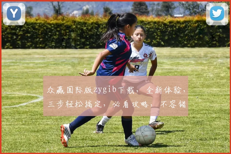 众赢国际版zygib下载，全新体验，三步轻松搞定，必看攻略，不容错过